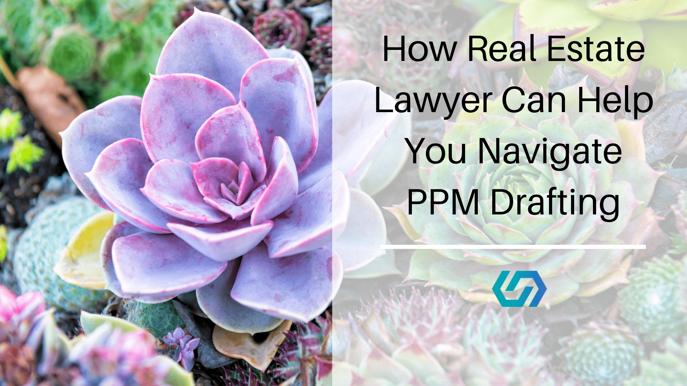 How a Real Estate Lawyer Can Help You Navigate PPM Drafting Benefits